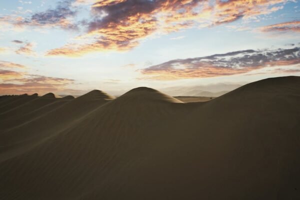 Desert Wilderness - Captivating sunrise over sand dunes in the UAE d #11170393