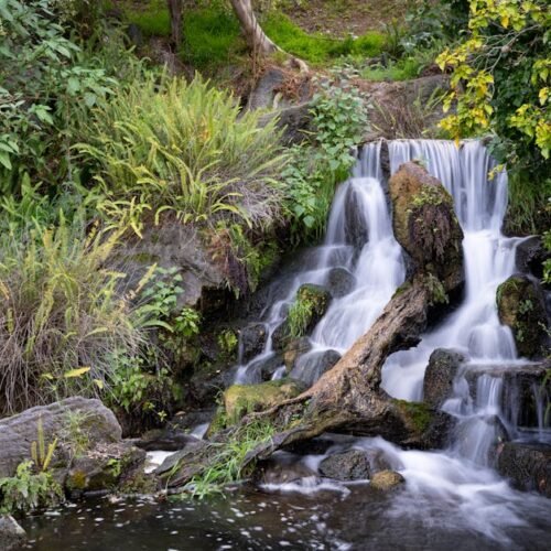 Forest Nature - Tranquil waterfall surrounded by lush green plan #11494380