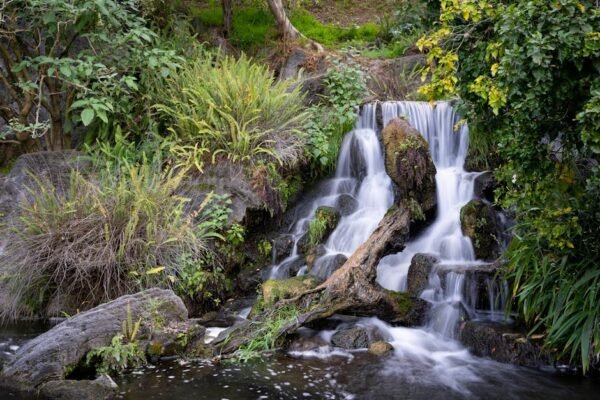 Forest Nature - Tranquil waterfall surrounded by lush green plan #11494380
