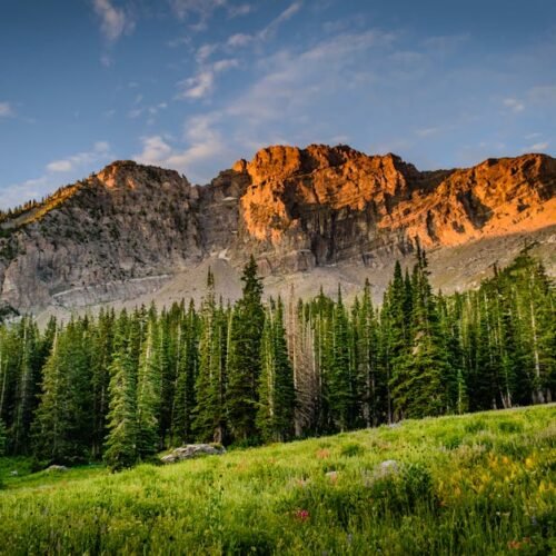 Forest Nature - Scenic sunrise view of forested mountain landsca #1324803