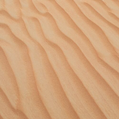 Desert Wilderness - A serene view of golden sand dunes with smooth t #1527934 Desert Wilderness - A serene view of golden sand dunes with smooth t #1527934