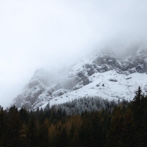 Snow Mountains - Peaceful winter scene of snow-covered mountains  #19196724