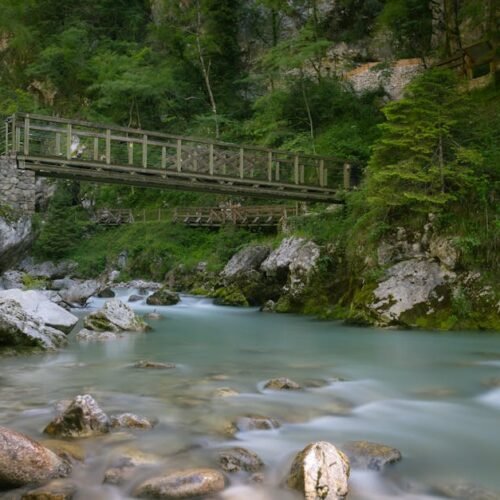 Forest Nature - A picturesque bridge over a calm river in Tolmin #19758091
