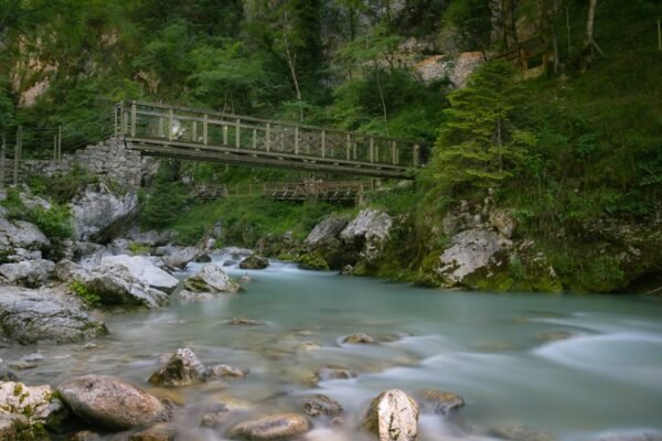 Forest Nature - A picturesque bridge over a calm river in Tolmin #19758091