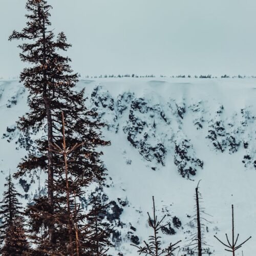 Snow Mountains - Winter landscape of snow-covered mountains and t #20192506