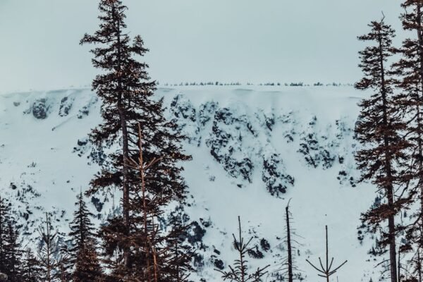 Snow Mountains - Winter landscape of snow-covered mountains and t #20192506