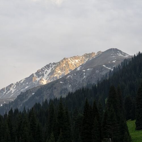 Snow Mountains - Breathtaking view of snow-capped Tien Shan mount #26065662