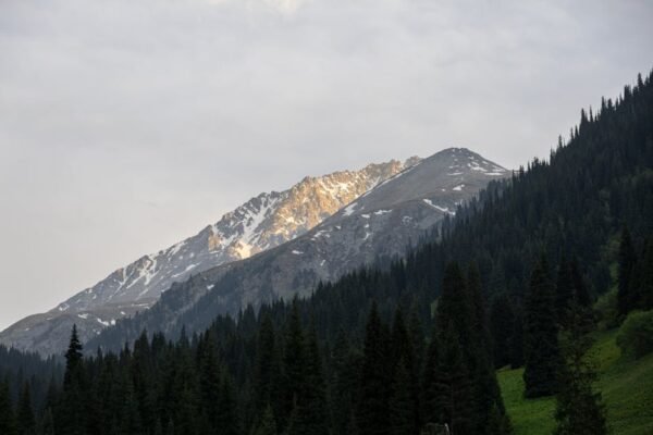 Snow Mountains - Breathtaking view of snow-capped Tien Shan mount #26065662
