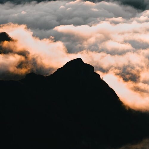 Forest Nature - Breathtaking sunrise over Madeira's mountain pea #27429829