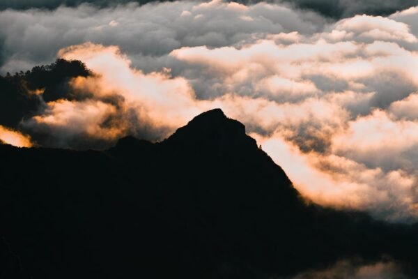 Forest Nature - Breathtaking sunrise over Madeira's mountain pea #27429829