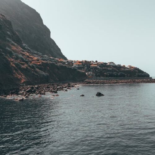 Forest Nature - Breathtaking view of Madeira Island's rocky coas #27429862