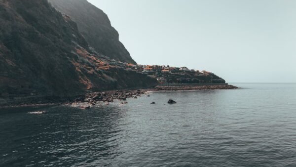 Forest Nature - Breathtaking view of Madeira Island's rocky coas #27429862