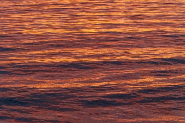 Beach Scenery - Stunning golden sunset reflecting on ocean waves #28244912