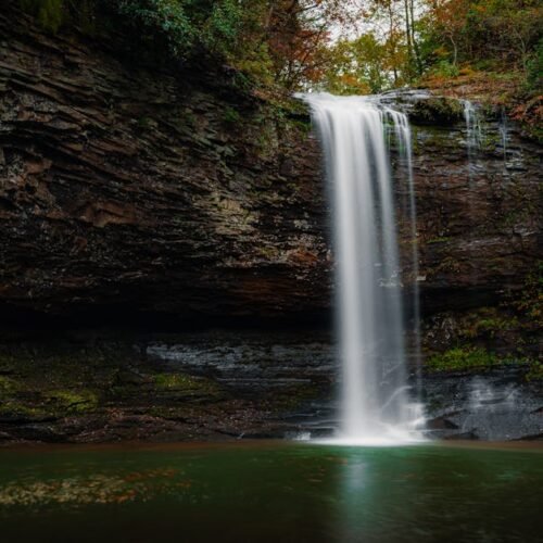 Forest Nature - A tranquil waterfall cascading over rugged cliff #28708793