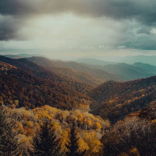 Forest Nature - Explore the serene beauty of mountain ranges cov #29146345