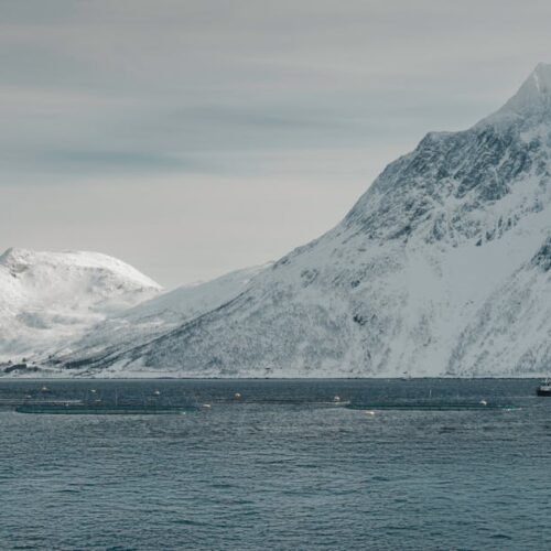 Snow Mountains - A serene landscape of snow-covered mountains and #29304914