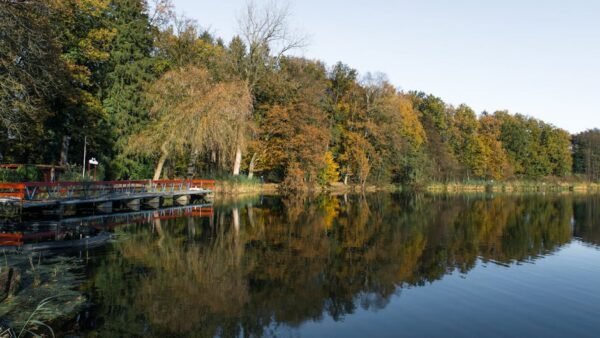 Lake Reflections - Peaceful autumn forest view by a reflective lake #29305261