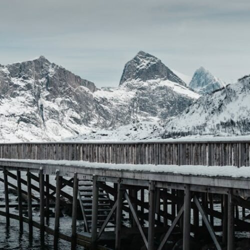 Snow Mountains - Scenic view of snow-covered mountains and wooden #29359342