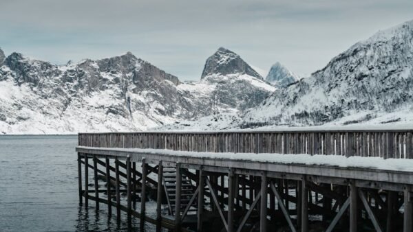 Snow Mountains - Scenic view of snow-covered mountains and wooden #29359342