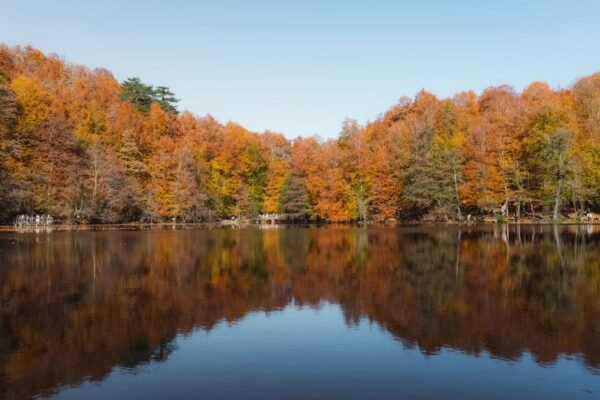Lake Reflections - Beautiful autumn scenery at Yedigöller National  #29575461