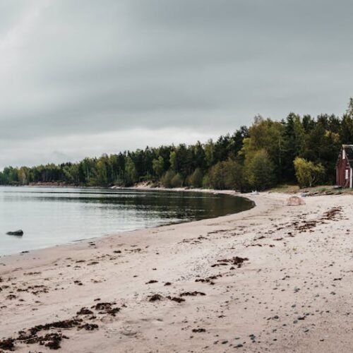 Beach Scenery - Tranquil sandy beach with rustic boat houses ami #29624644