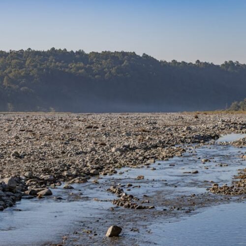 Forest Nature - A tranquil riverbed runs through a rocky terrain #29666824