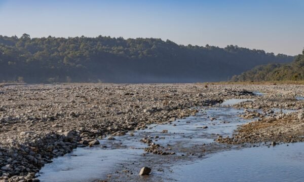 Forest Nature - A tranquil riverbed runs through a rocky terrain #29666824