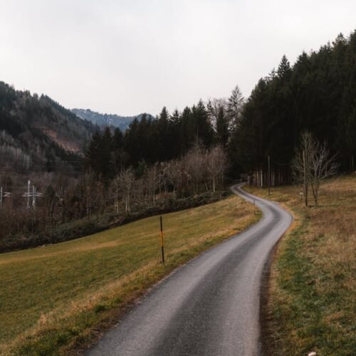 Forest Nature - Peaceful rural road winding through forested hil #29828237