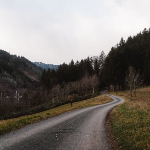 Forest Nature - A peaceful winding road through a forested mount #29828240