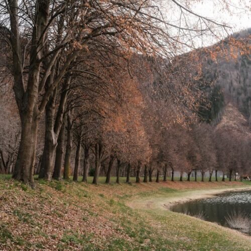 Lake Reflections - Peaceful autumn scene by a lake in Mixnitz, Aust #29870524