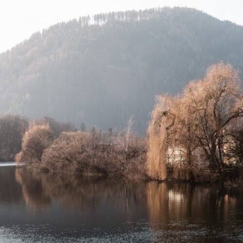 Lake Reflections - Peaceful mountain lake with trees reflecting in  #30104442