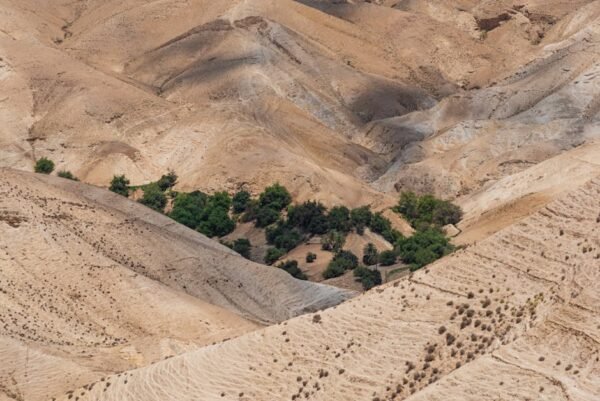 Desert Wilderness - A stunning aerial shot of Israel's arid desert t #30187308