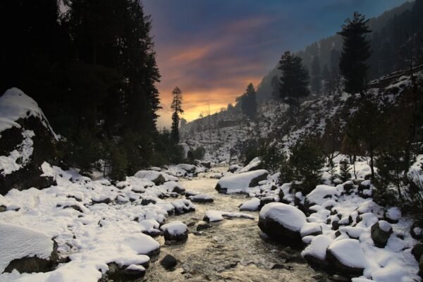 Forest Nature - Serene winter sunset over a snow-covered landsca #30209448