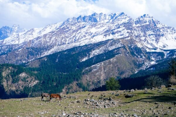 Snow Mountains - A stunning view of the snow-covered Himalayas wi #31580153