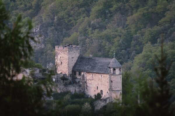 Forest Nature - A medieval stone castle stands amidst lush fores #32088679
