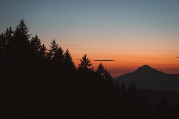 Mountain Landscapes - Silhouette of pine trees and mountain under a co #33921379