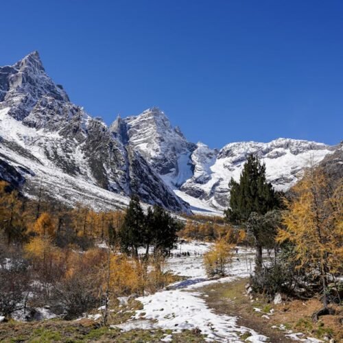 Snow Mountains - Stunning snowy mountains with autumn trees and a #34613673