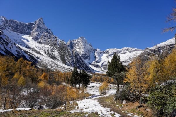 Snow Mountains - Stunning snowy mountains with autumn trees and a #34613673