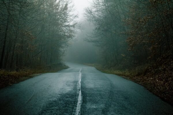Forest Nature - A mysterious foggy road winding through a dark,  #34889618