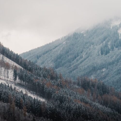 Forest Nature - Scenic view of snowy alpine mountains with frost #35140927