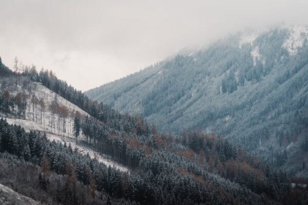 Forest Nature - Scenic view of snowy alpine mountains with frost #35140927