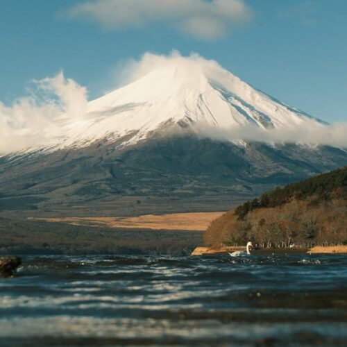Lake Reflections - Capture of Mount Fuji with snow cap and swan fro #35457079