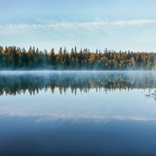 Forest Nature - A tranquil Finnish lake reflects the forest and  #3693623