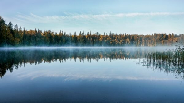 Forest Nature - A tranquil Finnish lake reflects the forest and  #3693623