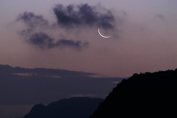 Forest Nature - Crescent moon with dark clouds in twilight sky o #4100130
