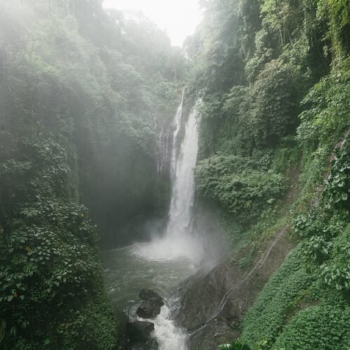 Desert Wilderness - Wonderful Aling Aling Waterfall among lush green #4534200
