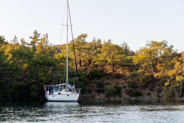 Lake Reflections - A peaceful scene of a sailboat anchored near a l #5730204