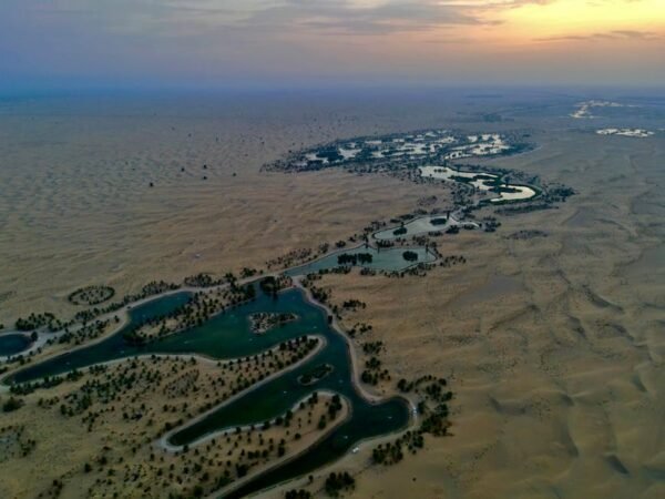 Desert Wilderness - Breathtaking aerial view of the scenic Al Qudra  #5855865