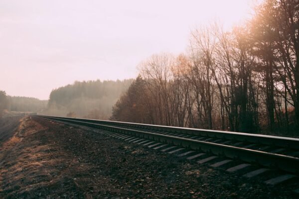 Forest Nature - Foggy railway track through a misty autumn fores #673803