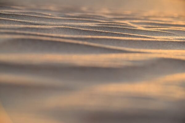 Desert Wilderness - A close-up of sunlit sand dunes showing textured #6789297